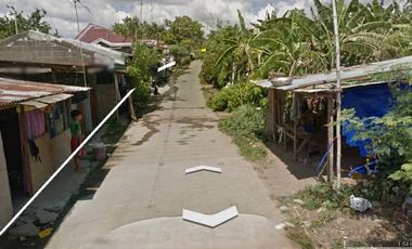 ALAMINOS SAN JUAN 3-HECTARE LOT