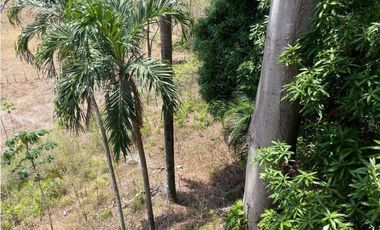 Venta de casa en Chepo Loma del Rio