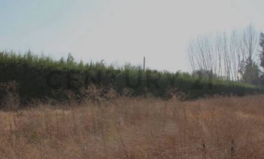 Se vende parcela de agrado en Paine