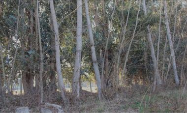 Se vende parcela de agrado en Paine