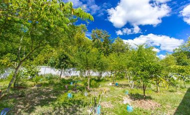 2 bed bungalow 3 rai Warin Chamrap Ubon Ratchathani Thailand