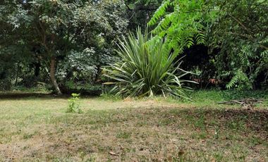 Lotes La Arboleda Miramar a 500 mts dl Bosque Vivero Dunícola Florentino Ameghino.