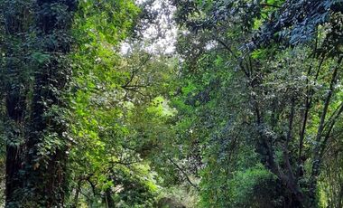 Lotes La Arboleda Miramar a 500 mts dl Bosque Vivero Dunícola Florentino Ameghino.