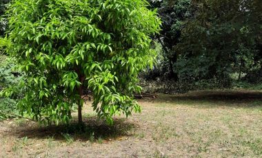 Lotes La Arboleda Miramar a 500 mts dl Bosque Vivero Dunícola Florentino Ameghino.