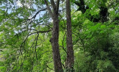 Lotes La Arboleda Miramar a 500 mts dl Bosque Vivero Dunícola Florentino Ameghino.
