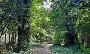 Lotes La Arboleda Miramar a 500 mts dl Bosque Vivero Dunícola Florentino Ameghino.