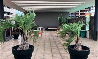 Departamento - Alto Alberdi