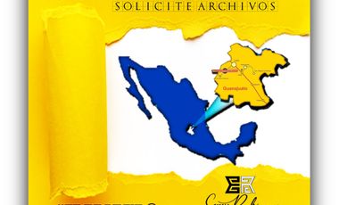 LOCAL EN RENTA San Francisco del Rincón,Gto; COL. CENTRO, GASOLINERA PEMEX