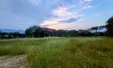 Land for sale at Palm Hills Golf Club and Residence