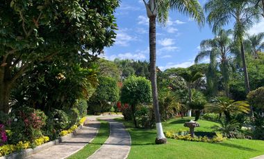 Buena Vista residencial  H1,