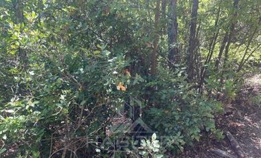 Agrícola en Venta en Ubicación: 35°58´45.7