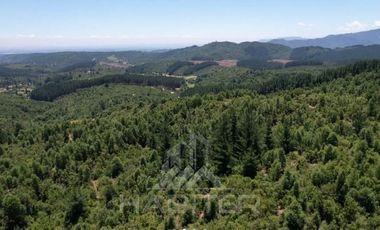 Agrícola en Venta en Ubicación: 35°58´45.7