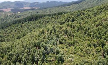 Agrícola en Venta en Ubicación: 35°58´45.7