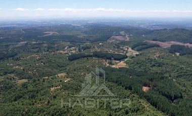 Agrícola en Venta en Ubicación: 35°58´45.7