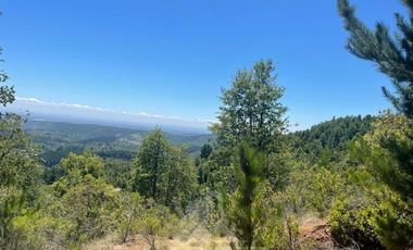 Agrícola en Venta en Ubicación: 35°58´45.7