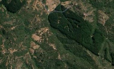 Agrícola en Venta en Ubicación: 35°58´45.7