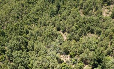 Agrícola en Venta en Ubicación: 35°58´45.7