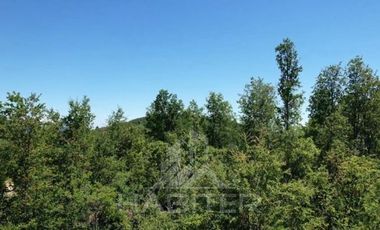 Agrícola en Venta en Ubicación: 35°58´45.7