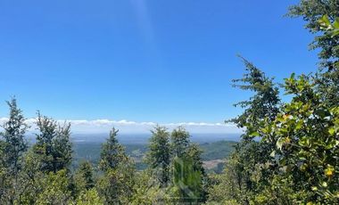 Agrícola en Venta en Ubicación: 35°58´45.7