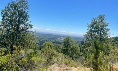 Agrícola en Venta en Ubicación: 35°58´45.7