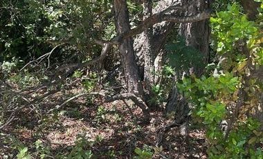 Agrícola en Venta en Ubicación: 35°58´45.7