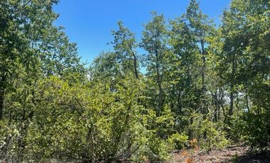 Agrícola en Venta en Ubicación: 35°58´45.7