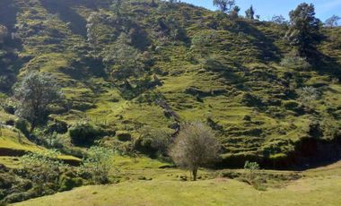 Terreno en venta en la zona de Teziutlán