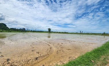 Land for sale in Na Yang, Phetchaburi