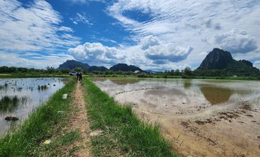 Land for sale in Na Yang, Phetchaburi