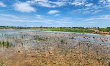 Land for sale in Na Yang, Phetchaburi
