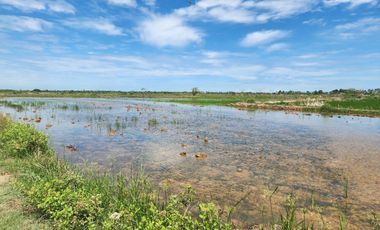 Land for sale in Na Yang, Phetchaburi