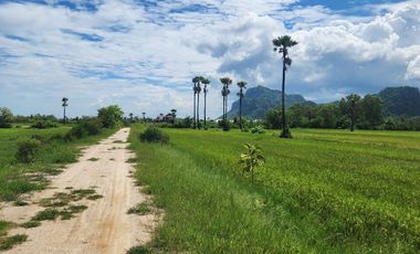 Land for sale in Na Yang, Phetchaburi