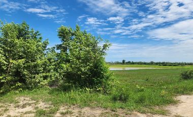 Land for sale in Na Yang, Phetchaburi