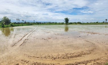 Land for sale in Na Yang, Phetchaburi