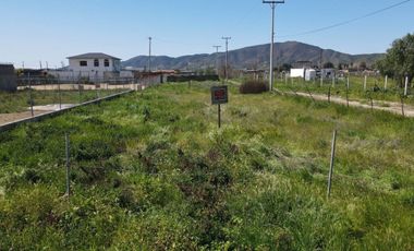 Se vende terreno en Valle de Guadalupe, Ensenada BC