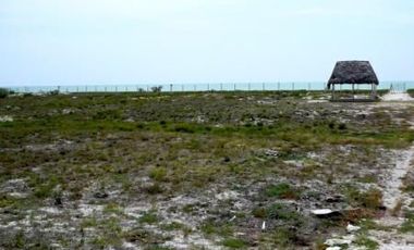 Terreno en CELESTUN | YUCATAN |