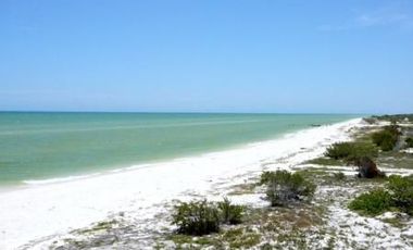 Terreno en CELESTUN | YUCATAN |