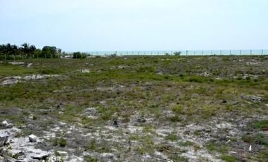 Terreno en CELESTUN | YUCATAN |