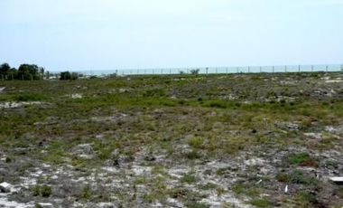 Terreno en CELESTUN | YUCATAN |
