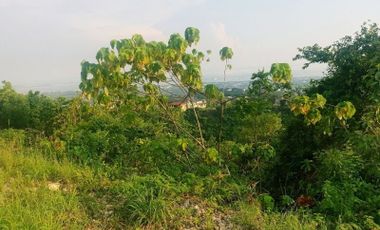 150 Sqm Overlooking Lot for Sale in Vista Grande Talisay Cebu City with Seaview