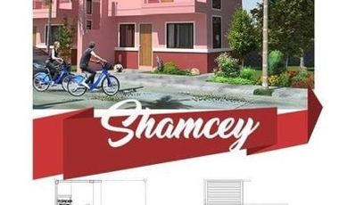 HOUSE AND LOT IN FARMVILLAGE VILLASIS, PANGASINAN