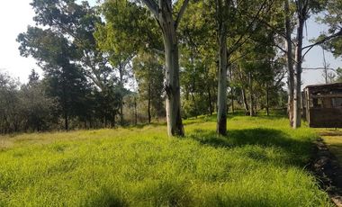 VENTA TERRENO IDEAL PARA DESARROLLADORES 19,700M2, ZONA VALSEQUILLO Y PERIFÉRICO