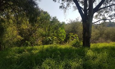VENTA TERRENO IDEAL PARA DESARROLLADORES 19,700M2, ZONA VALSEQUILLO Y PERIFÉRICO