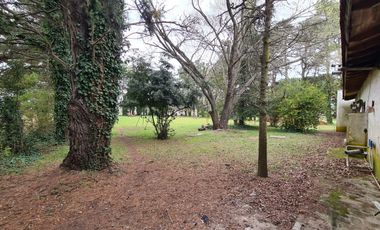 Venta - Casaquinta cinco ambientes sobre dos hectáreas a metros de Ruta 2 - Barrio La Trinidad