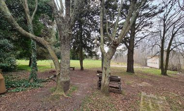 Venta - Casaquinta cinco ambientes sobre dos hectáreas a metros de Ruta 2 - Barrio La Trinidad