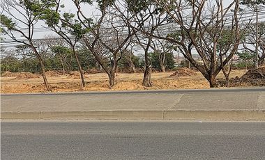 Av. León Febres Cordero Ribadeneyra, terreno comercial 15000 m2