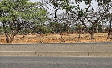 Av. León Febres Cordero Ribadeneyra, terreno comercial 15000 m2