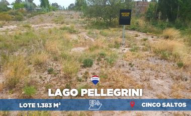 Lote en  venta Lago Pellegrini