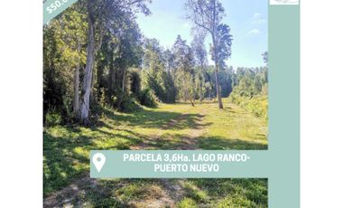 Parcelas 3,6Ha. Lago Ranco-Cuinco + orilla de rio