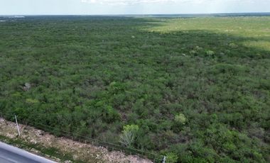 Terreno 1 hectárea en Corredor Industrial, Merida